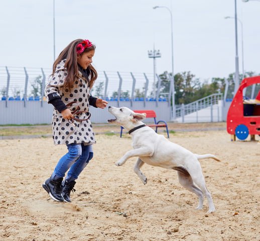 Help! My dog is jumping, barking, chewing & digging!  Teamwork Dogs -  Training a great family dog - Taigum, Caboolture