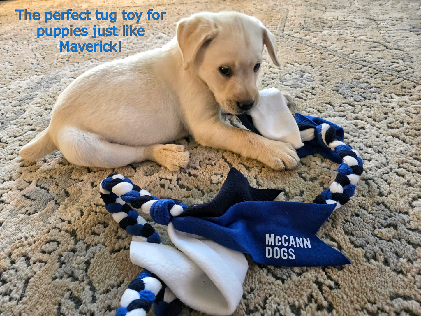 McCann Dogs Puppy Training Tug Toy (Puppy Tug)