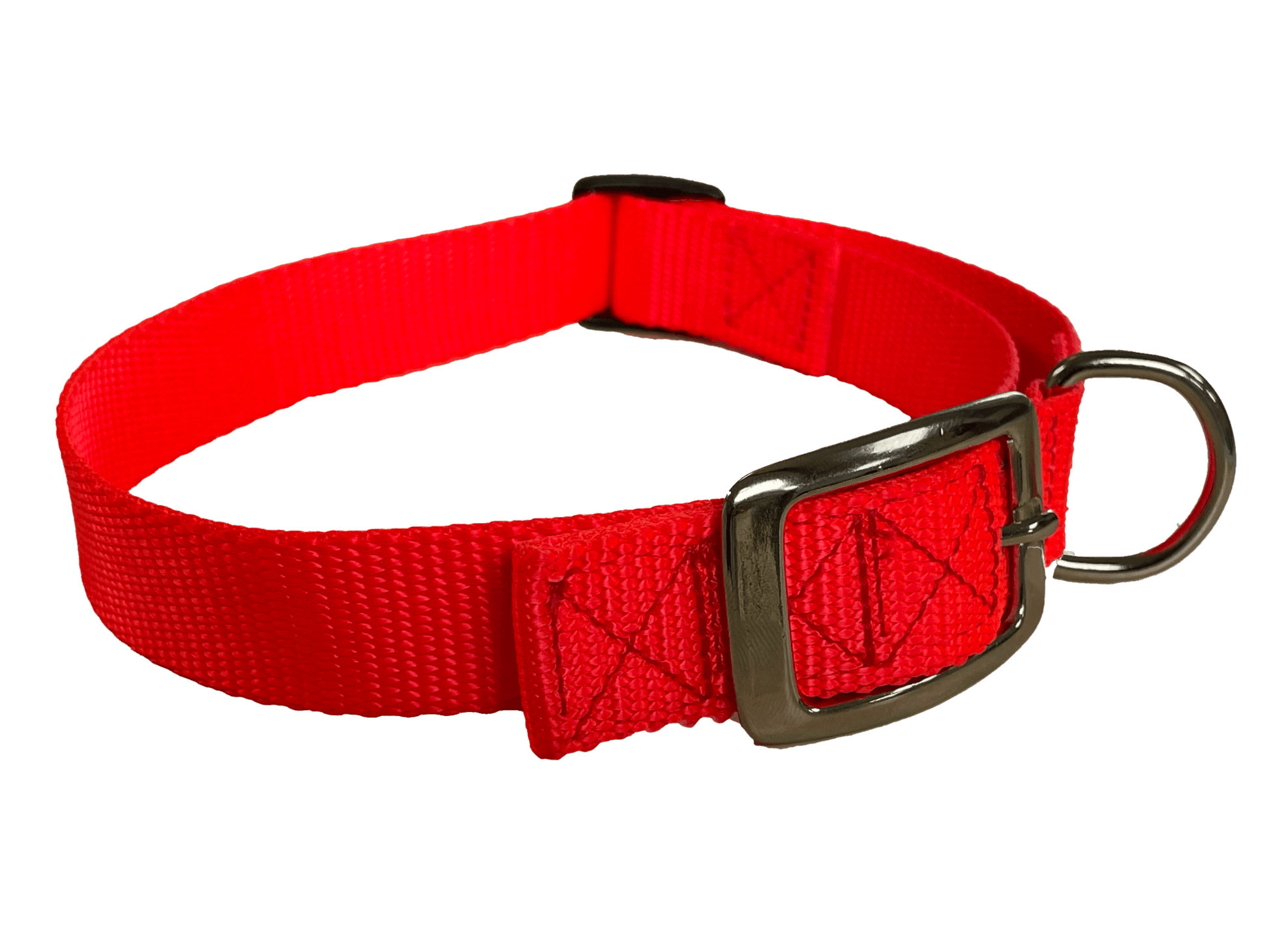 Flat Buckle Dog Collar (Adjustable) – McCann Professional Dog Trainers
