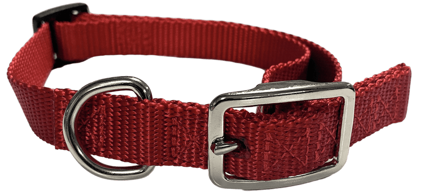 Flat Buckle Dog Collar (Adjustable) – McCann Professional Dog Trainers