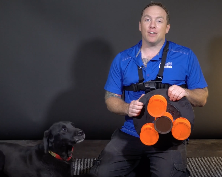 Make a Fidget Spinner for your DOG!!!